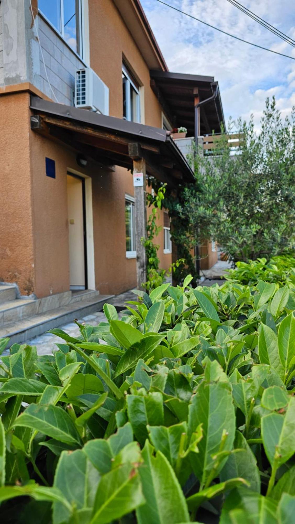 Apartmán Elvira