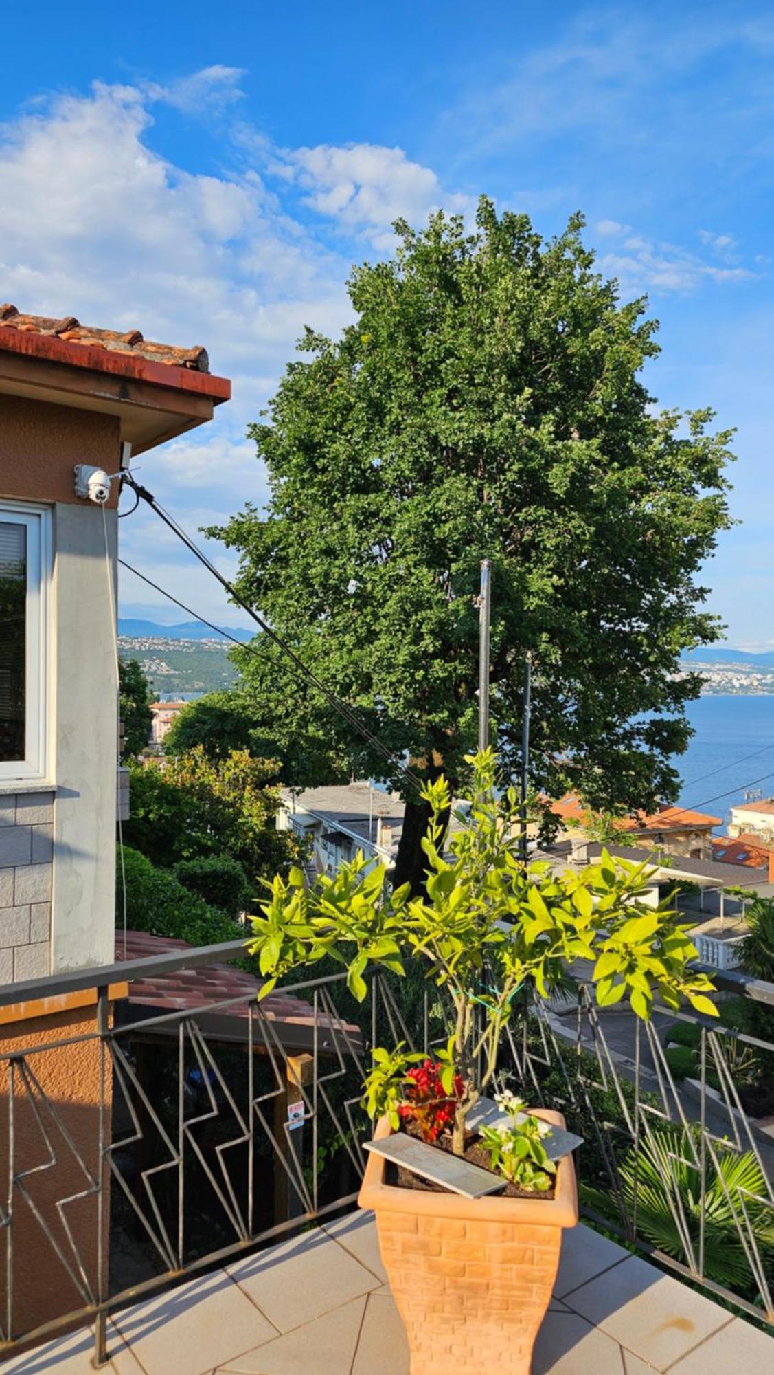 Elvira Apartmán *